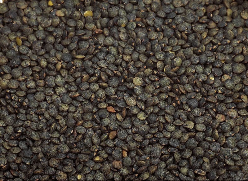 French green lentils called Puy lentils