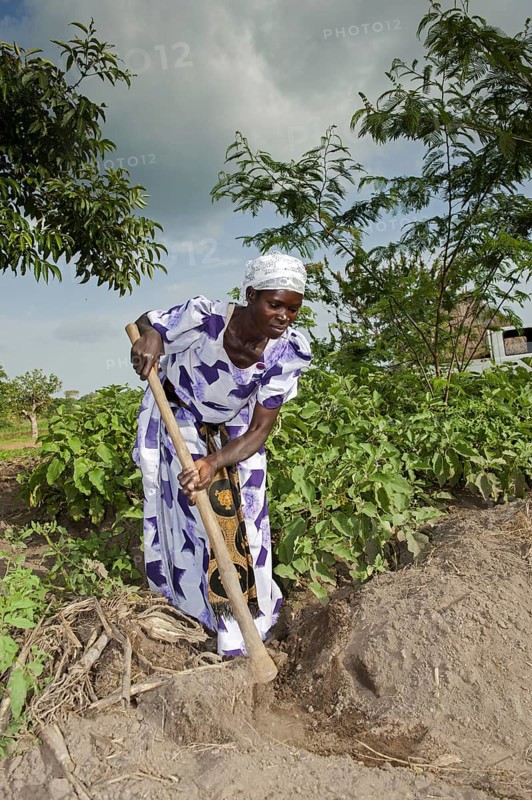 Woman using hoe