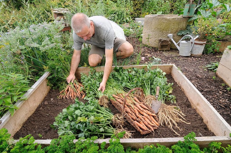 Organic garden