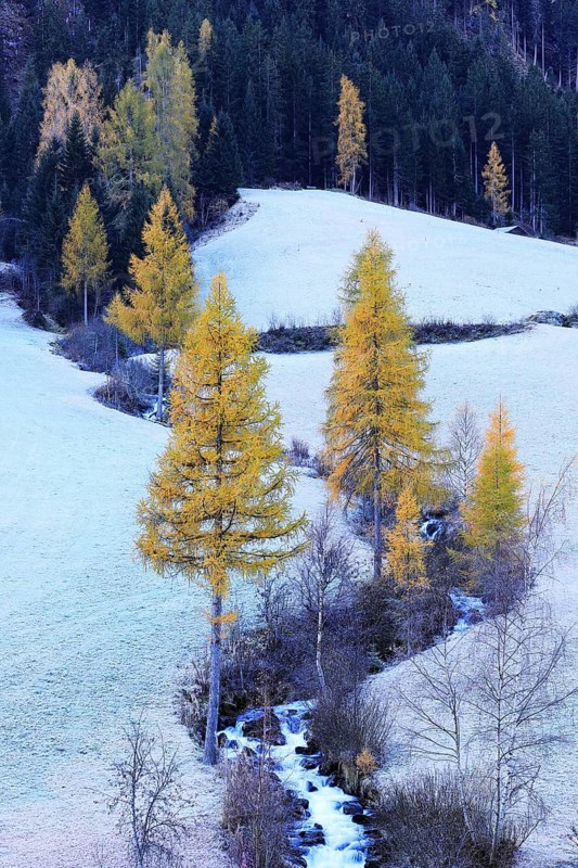 Mountain stream