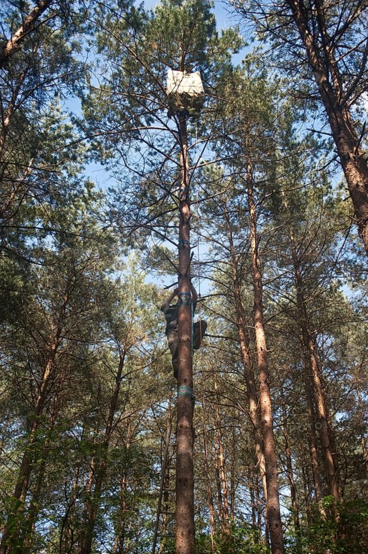 Animal photographer climbs camouflage tent for hide photography