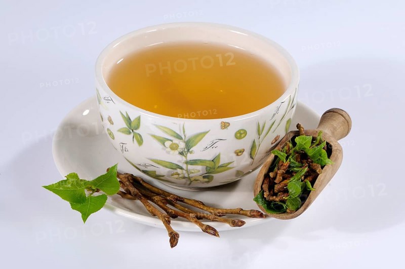 Cup black poplar bud tea