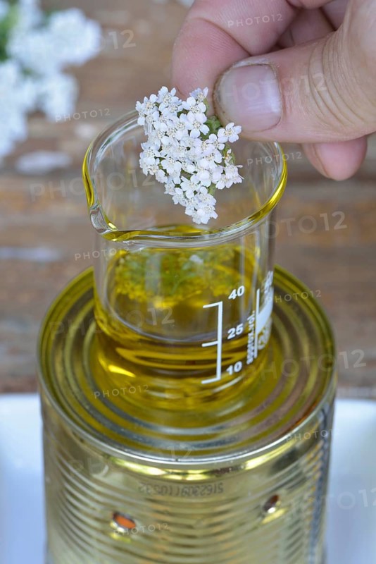 Production Yarrow ointment