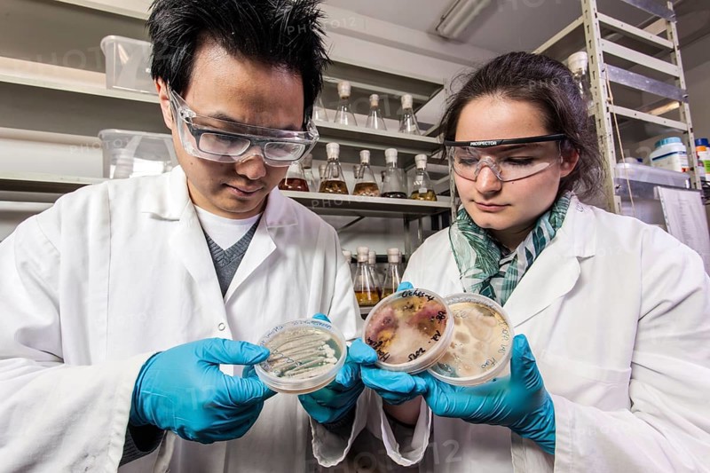 Scientists examine samples in the fungus room at the Institute for Pharmaceutical Biology and Biotechnology at Heinrich Heine University Duesseldorf