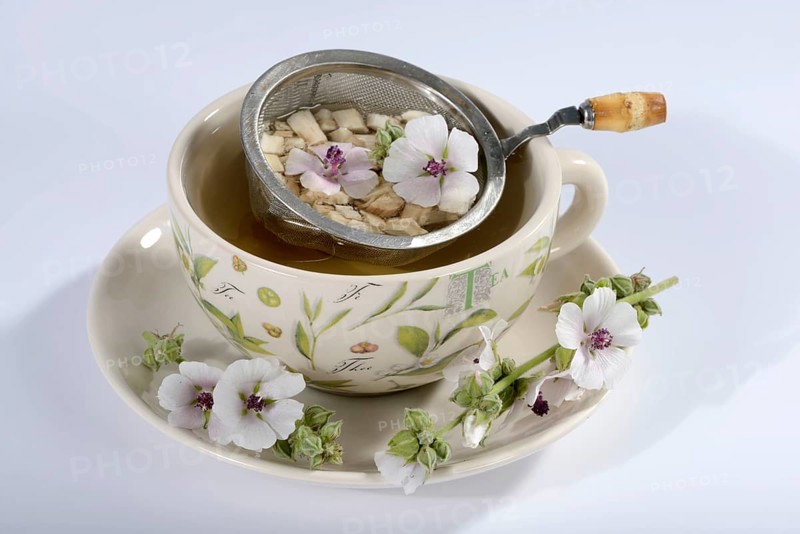 Cup