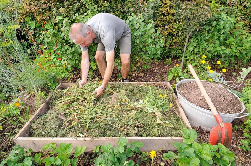 Organic garden