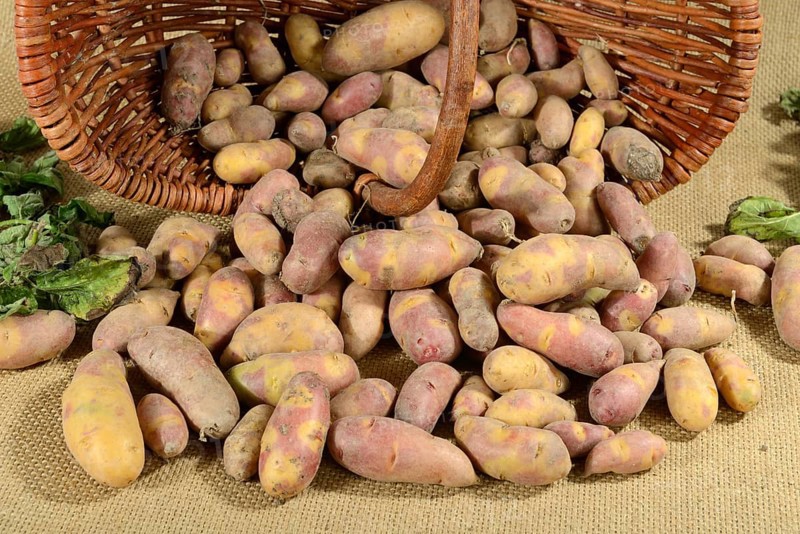 Potatoes