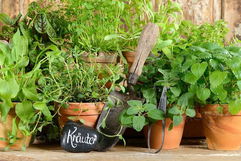 Various herbs