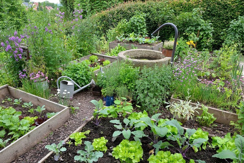 Nature garden and frame beds