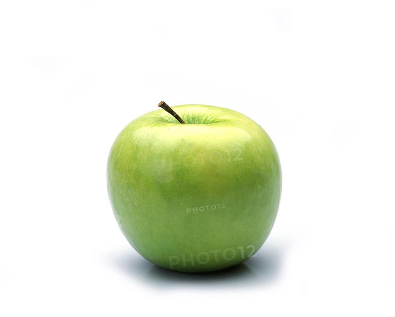 Malus domestica