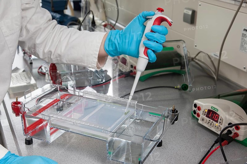 Scientist pipetting in the poison room or laboratory with ethidium bromide during a DNA gel electrophoresis for the detection of nucleic acids in the Faculty of Biology at the University of Duisburg-Essen
