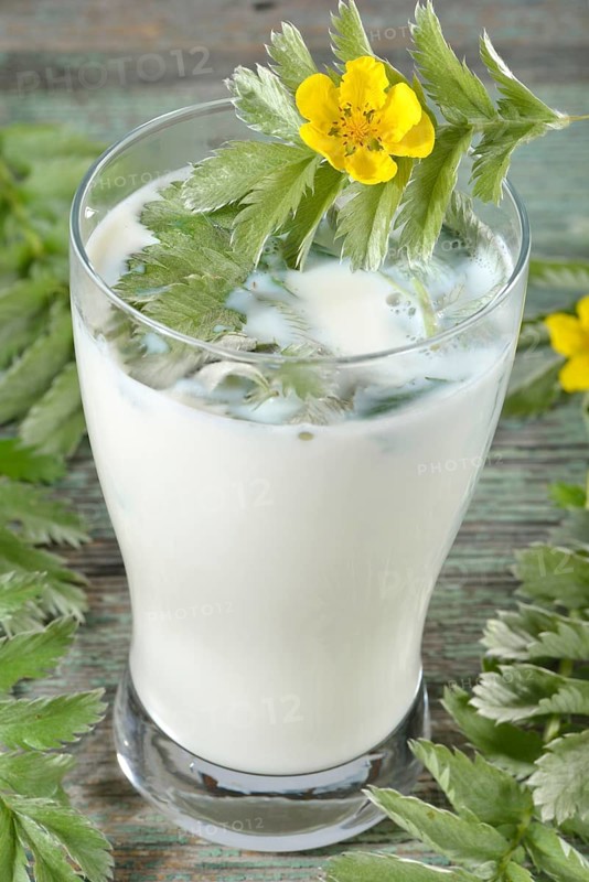 Production Goose milk