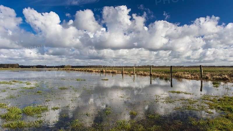 Boller Moor
