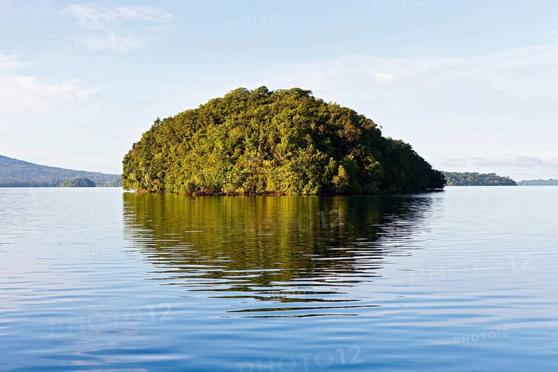 Tropical Island