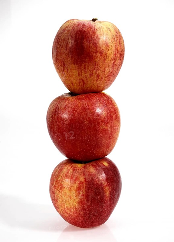 Malus domestica