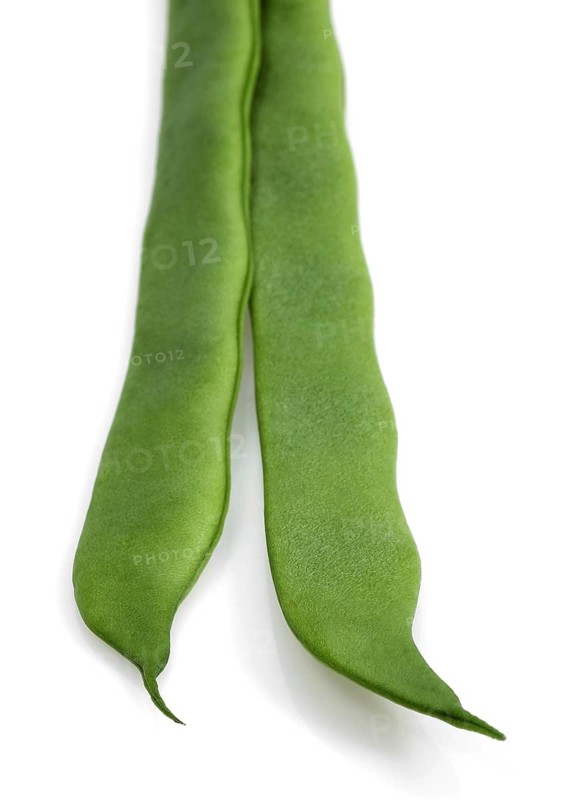Garden bean