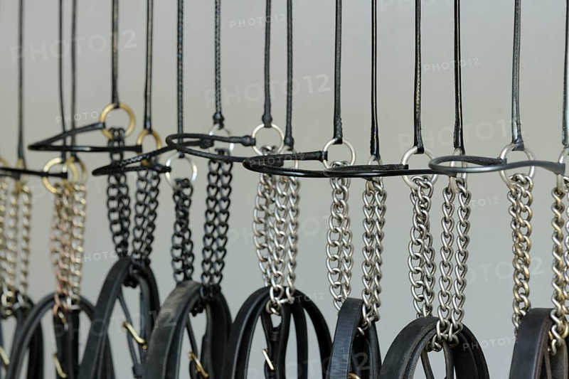 Suspended horse halter