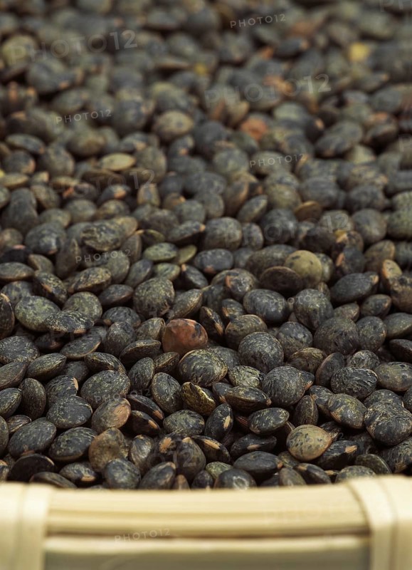 French green lentils called Puy lentils