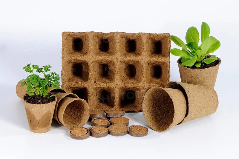 Peat pots