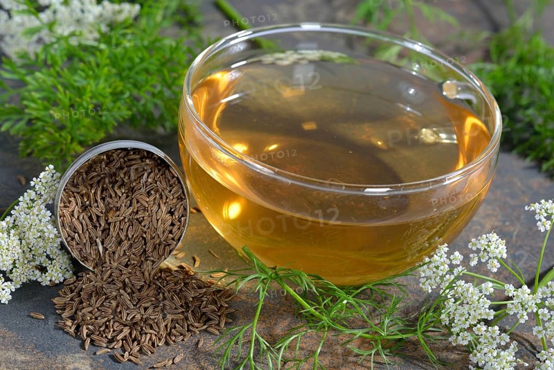 Caraway