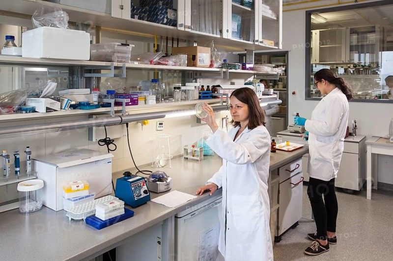 Scientist with a Petri dish containing a transformation of