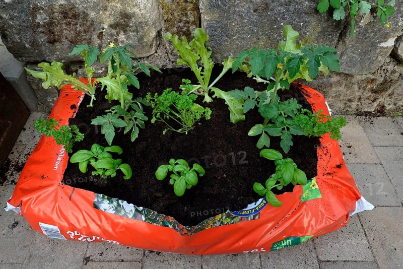 Planting bag with potting soil
