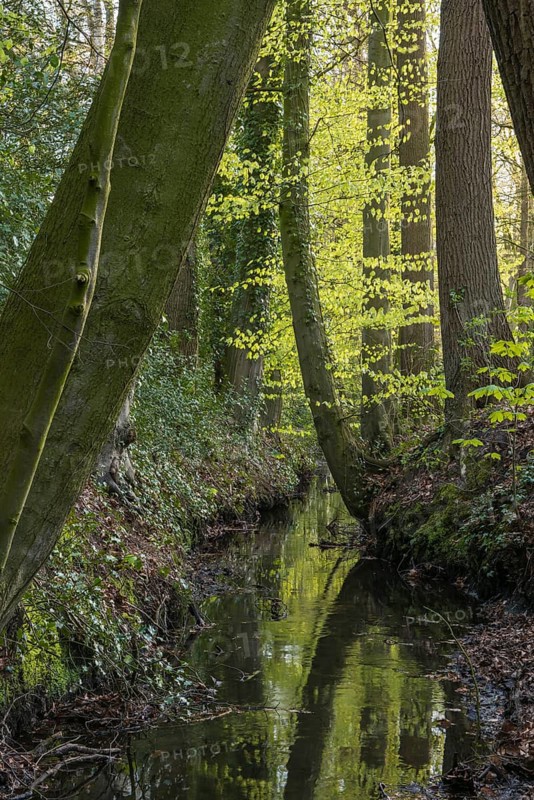 Hopener Muehlenbach