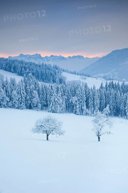 View from Ratenpass with view to the Central Swiss Alps