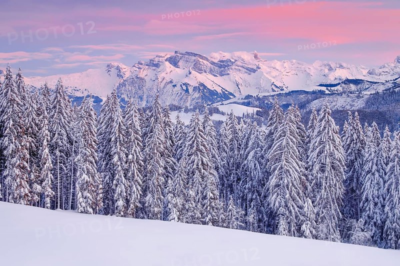 View from Gotschalkenberg with view to Glaernisch in the Schwyzer Alps