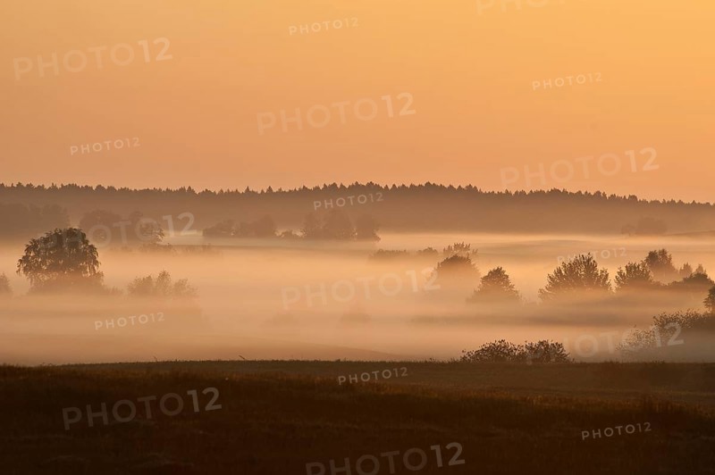 Sunrise with morning fog