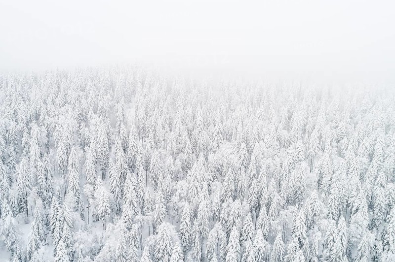 Drone shot
