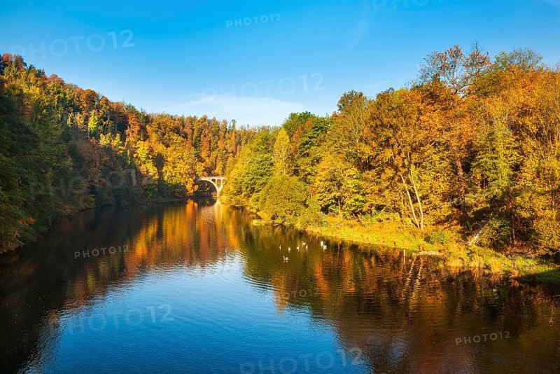 Autumn at the river Saale