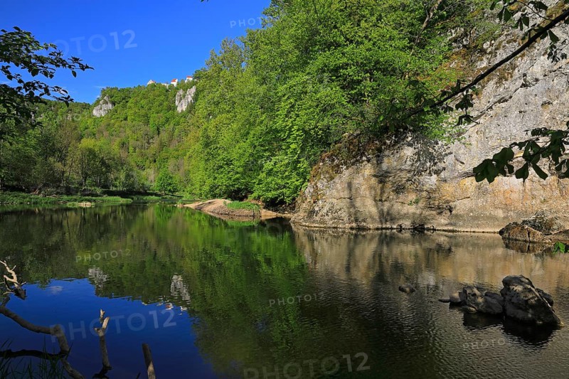 Wildenstein Castle