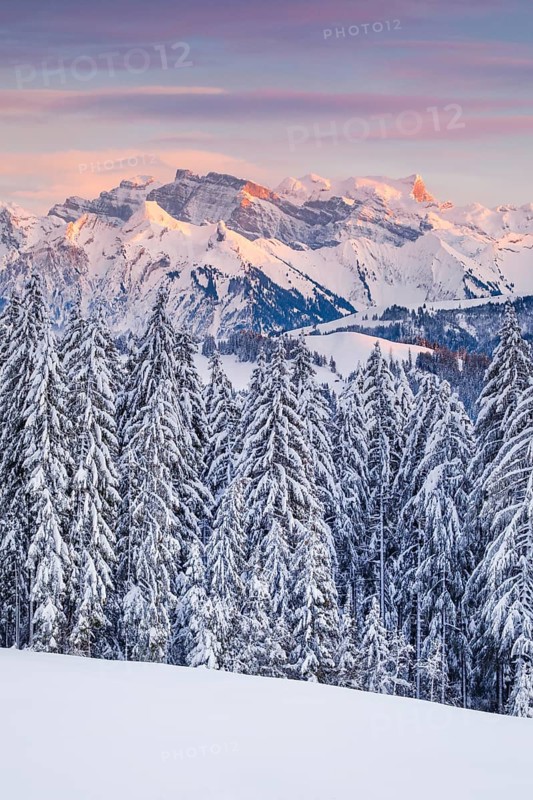 View from Gotschalkenberg with view to Glaernisch in the Schwyzer Alps