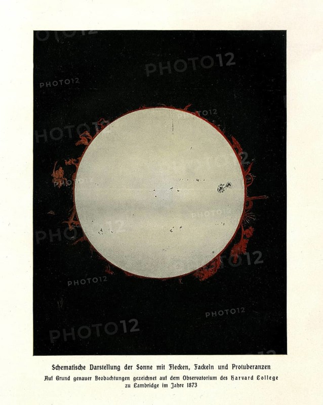 Schematic representation of the sun with spots
