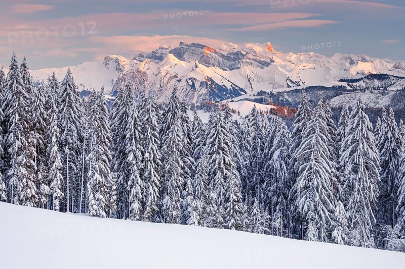 View from Gotschalkenberg with view to Glaernisch in the Schwyzer Alps