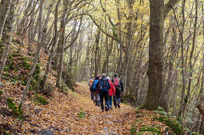 Hiking group