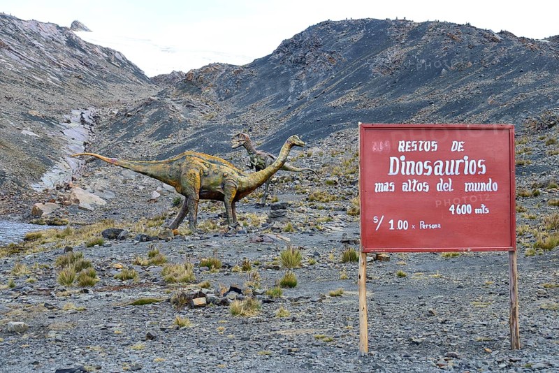 Life-size figure of a dinosaur at the highest site in the world
