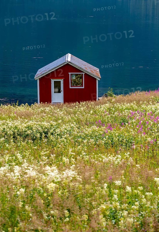 Typical fish hut by the sea