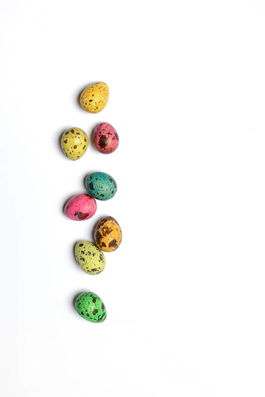 Coloured quail eggs