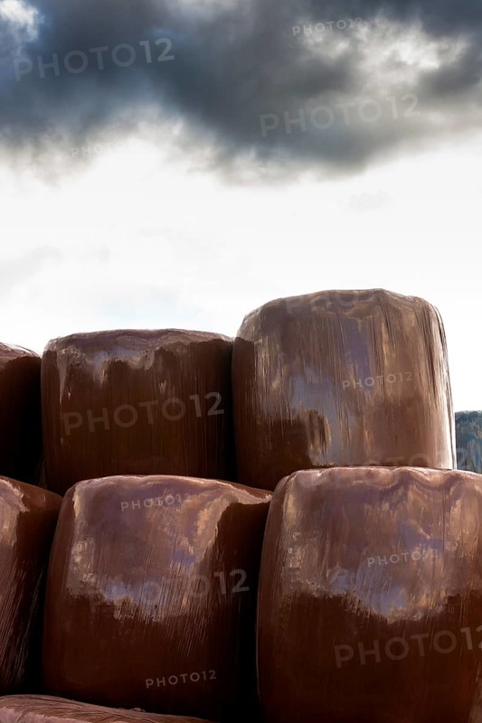 Plastic wrapped bales of straw