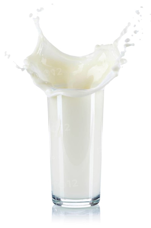 Milk splash splash milk splash glass milk glass cropped cropped isolated against a white background