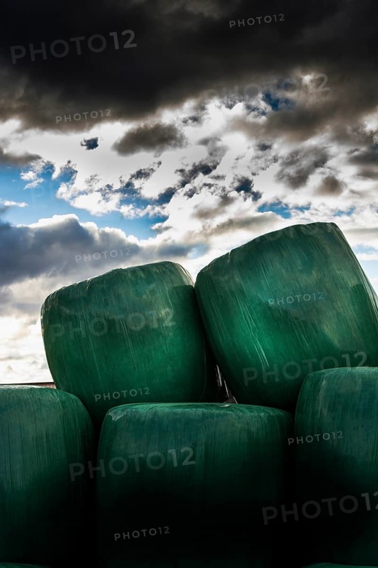 Plastic wrapped bales of straw