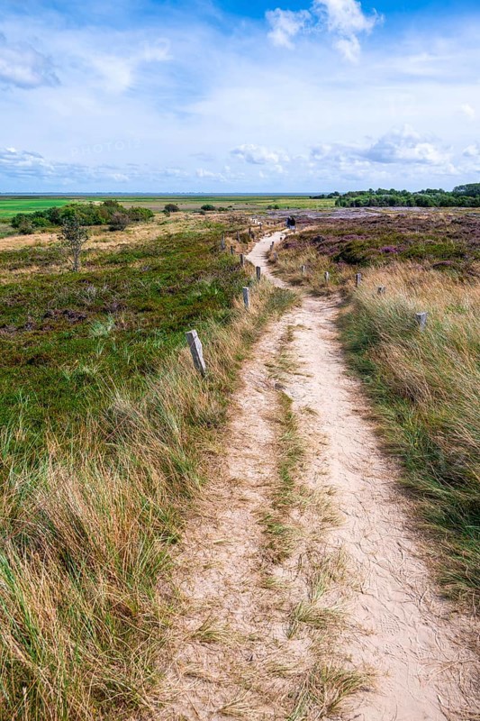 Path through moorland