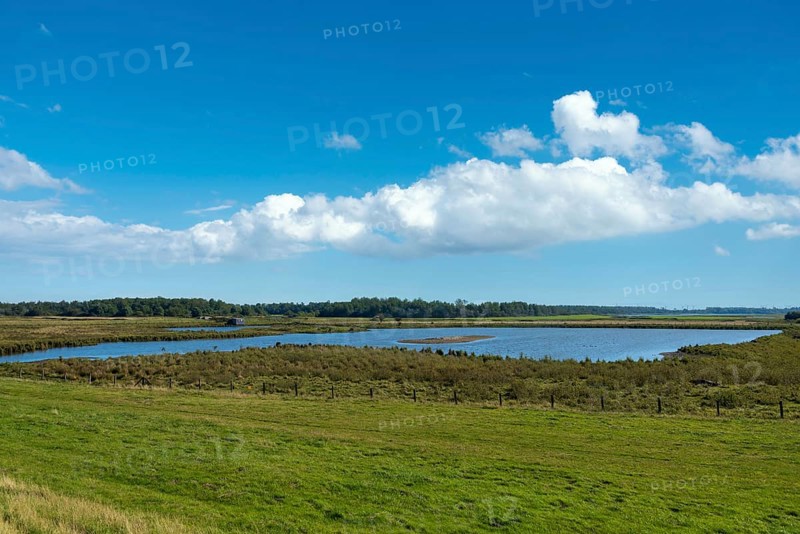 Landscape of the Katinger Watt