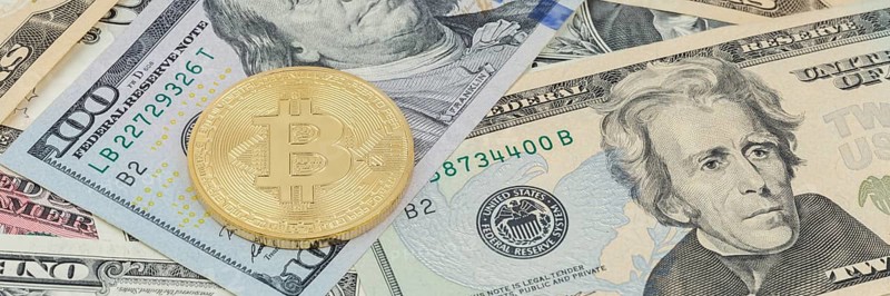 Bitcoin cryptocurrency online pay digital money cryptocurrency US dollar economy finance banner text free space copyspace