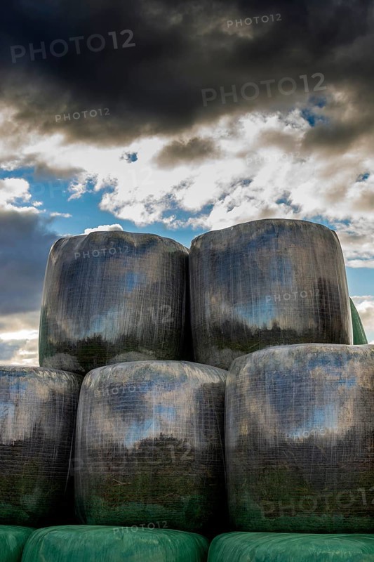Plastic wrapped bales of straw