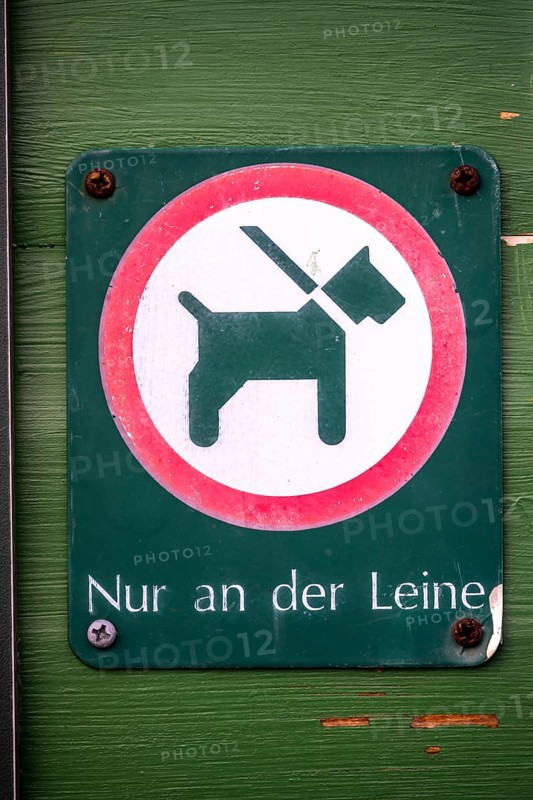 Dogs on leash only