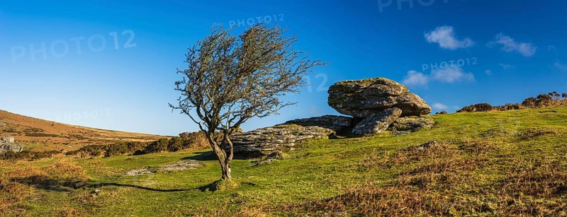 Haytor Rocks