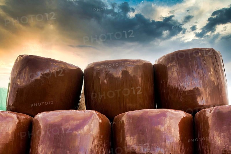 Plastic wrapped bales of straw